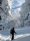 backcountry摜2